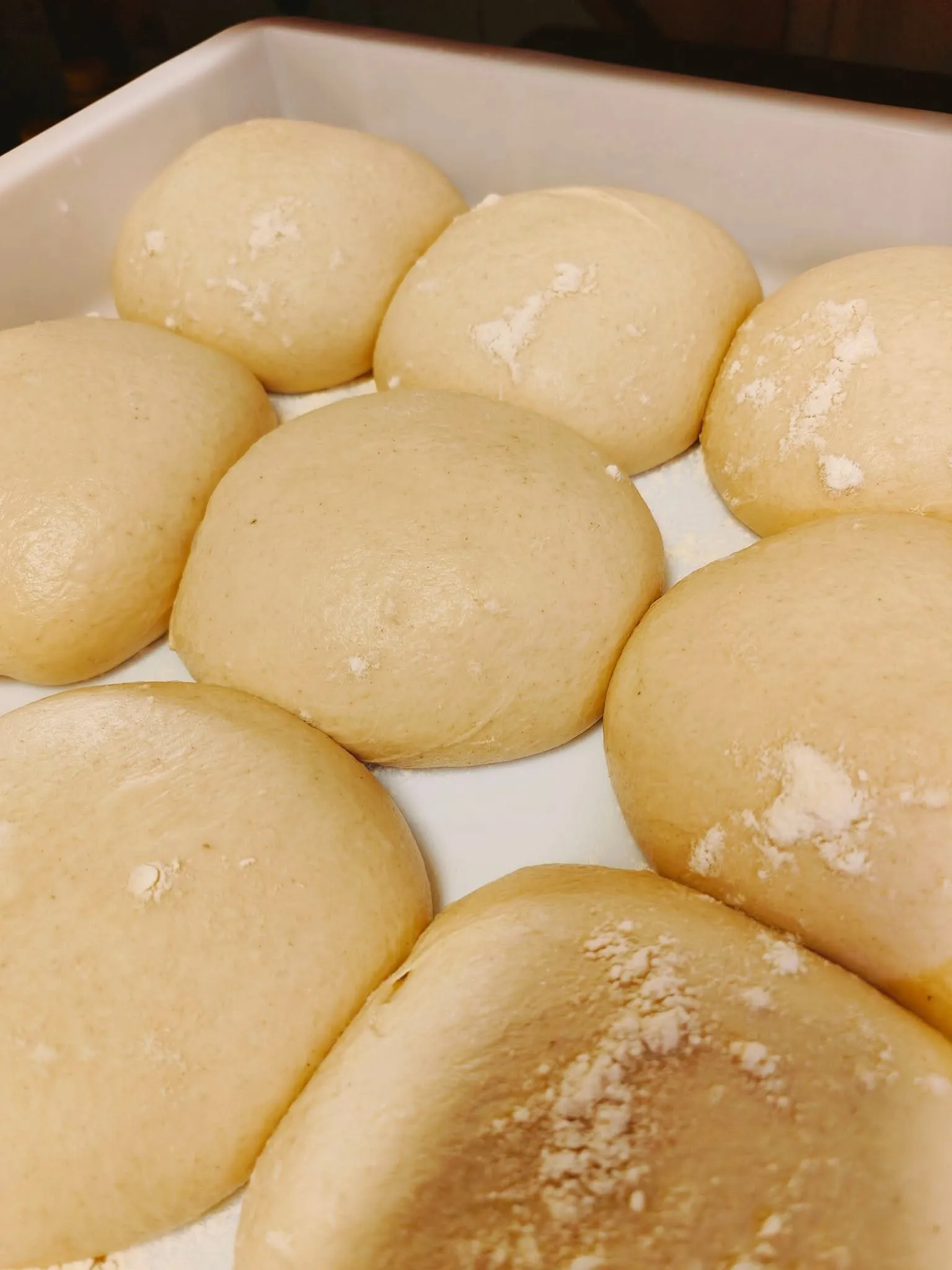 Panetti di impasto in lievitazione, allineati nella cassetta